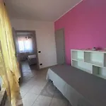 Aria Di Mare Family 3* San Nicola Arcella